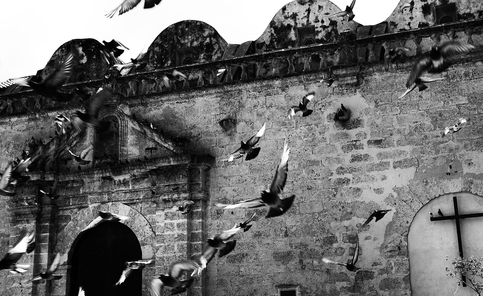 birds-at-church.jpg