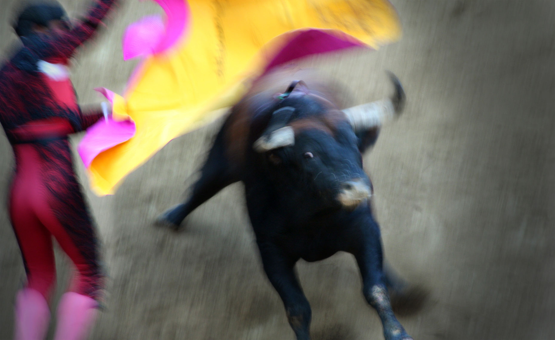 bullfight.jpg